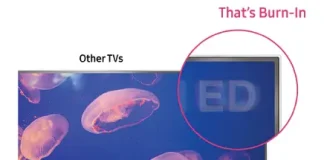 Samsung TVs with quantum dots, can they burn out