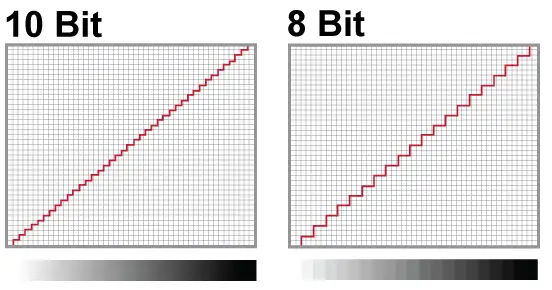 8 bit or 10 bit monitor