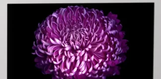 LG TV Lineup of 2017