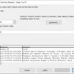 convert text to columns excel step3