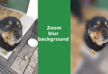 How to blur background in Zoom