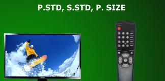 What the P.STD, S.STD, P. SIZE buttons on the TV remote control mean
