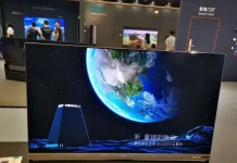 BD Cell Display: Everything you need to know