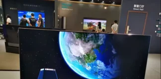 BD Cell Display: Everything you need to know